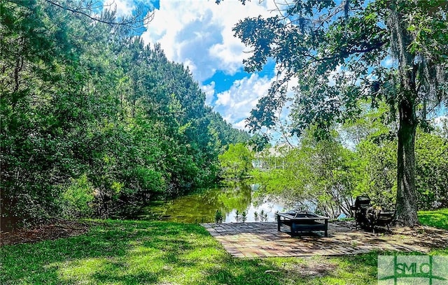 18 Enclave Cir, Savannah, GA 31419 - view of yard with a water view