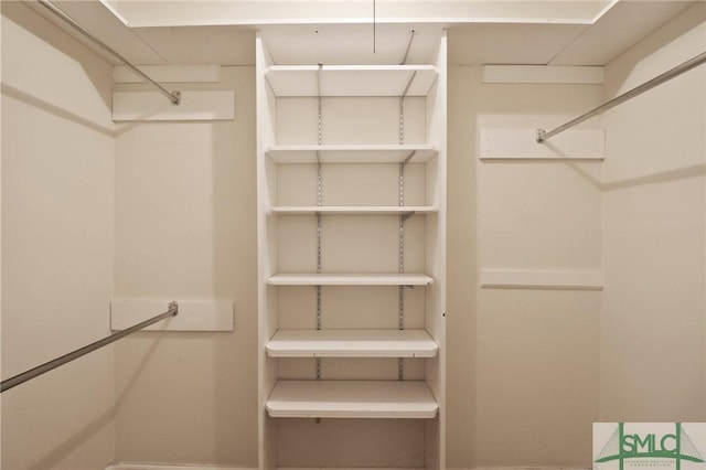 view of walk in closet