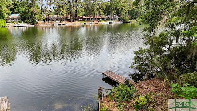 dock with a water view