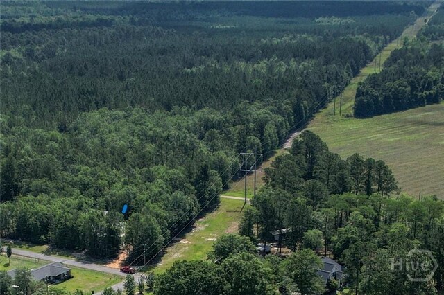 26 Cason Dr, Pembroke, GA 31321 - bird's eye view of a forest