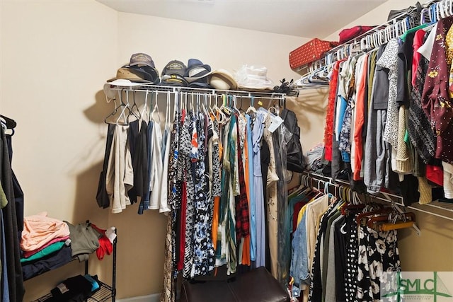 view of spacious closet