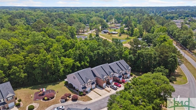 bird's eye view of a forest