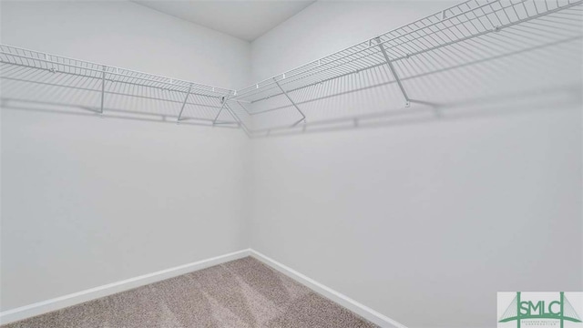spacious closet with carpet floors