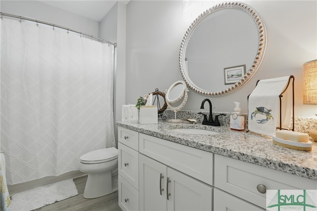 240 Blackjack Oak Dr W, Richmond Hill, GA 31324 - bathroom with wood finished floors, toilet, vanity, and curtained shower