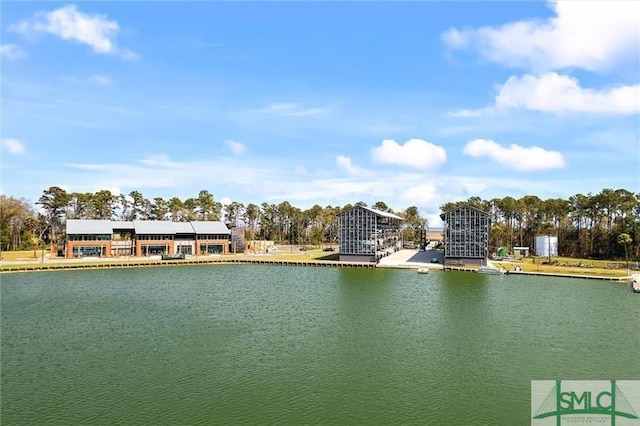 240 Blackjack Oak Dr W, Richmond Hill, GA 31324 - water view