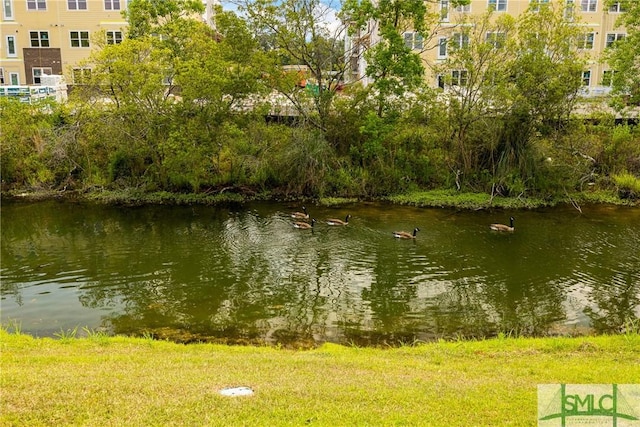 38 Travertine Cir, Savannah, GA 31419 - water view