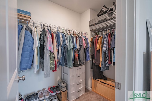 128 Greenbriar Dr, Guyton, GA 31312 - walk in closet with carpet floors