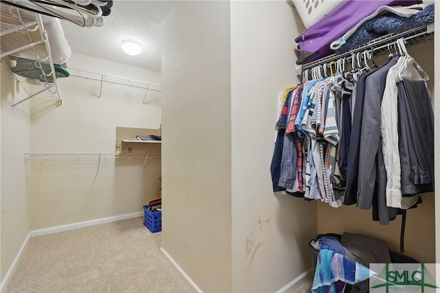 walk in closet with carpet flooring
