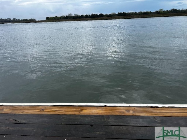 3005 River Dr Unit 401D, Savannah, GA 31404 - water view