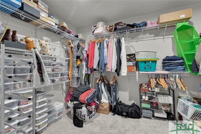 64 Southern Way, Richmond Hill, GA 31324 - spacious closet featuring carpet floors