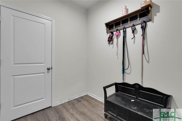 64 Southern Way, Richmond Hill, GA 31324 - mudroom featuring wood finished floors and baseboards
