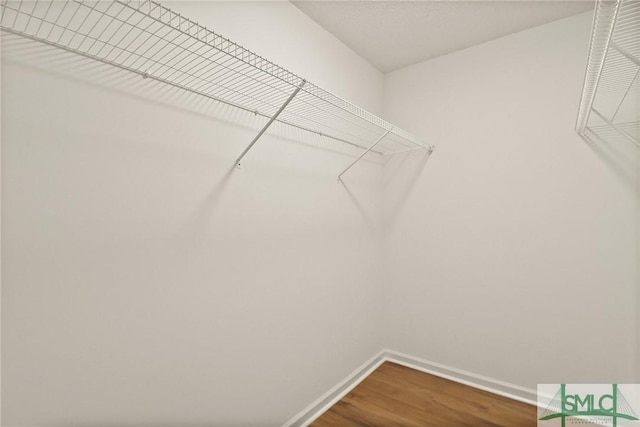 walk in closet with dark wood finished floors