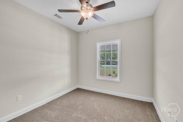 295 Lanier Rd, Ludowici, GA 31316 - photo 22