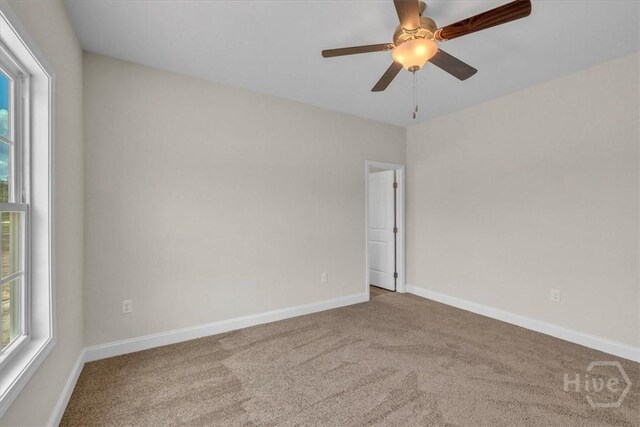 295 Lanier Rd, Ludowici, GA 31316 - photo 31