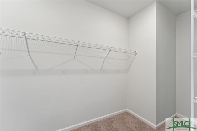 238 Sage Field Dr, Rincon, GA 31326 - walk in closet with carpet floors