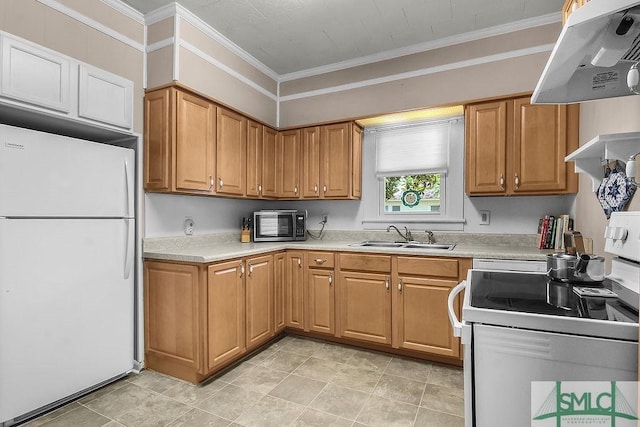 8 Georgia St, Pembroke, GA 31321 - kitchen with white appliances, ventilation hood, a sink, light countertops, and crown molding