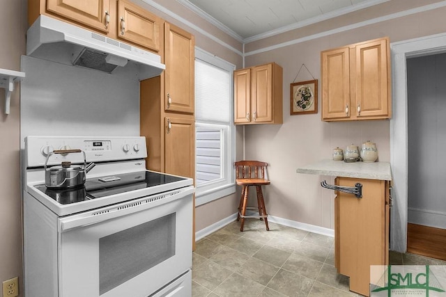 8 Georgia St, Pembroke, GA 31321 - kitchen featuring white range with electric cooktop, under cabinet range hood, ornamental molding, baseboards, and light countertops