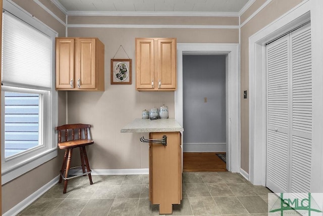 8 Georgia St, Pembroke, GA 31321 - kitchen with light brown cabinets, light countertops, baseboards, and crown molding