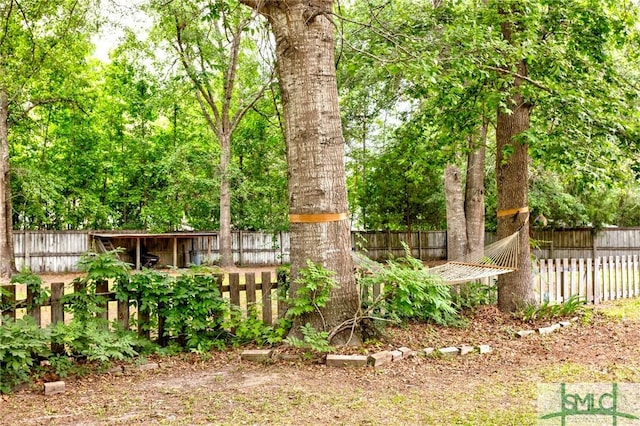330 Central Ave, Guyton, GA 31312 - view of fenced yard