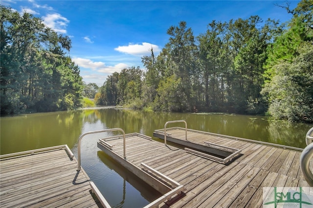 69 Lower Creek Dr, Richmond Hill, GA 31324 - photo 33