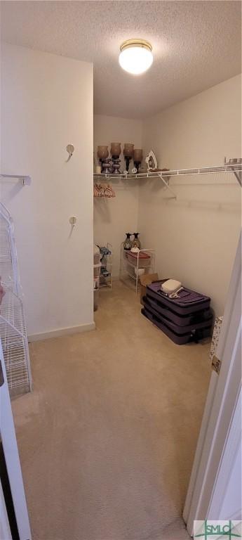 131 Farringdon Cir, Savannah, GA 31410 - walk in closet featuring light carpet