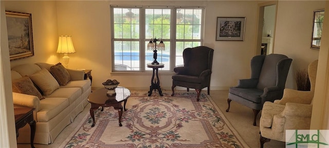 131 Farringdon Cir, Savannah, GA 31410 - living room with baseboards
