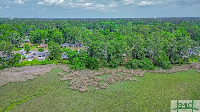 39 Windsor On The Marsh, Savannah, GA 31419 - photo 39