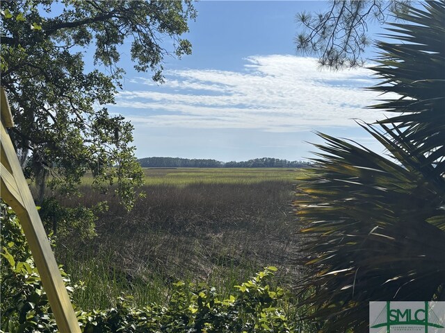 39 Windsor On The Marsh, Savannah, GA 31419 - photo 35