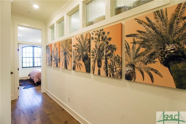 456 Port St, Savannah, GA 31401 - corridor featuring crown molding, wood finished floors, and baseboards