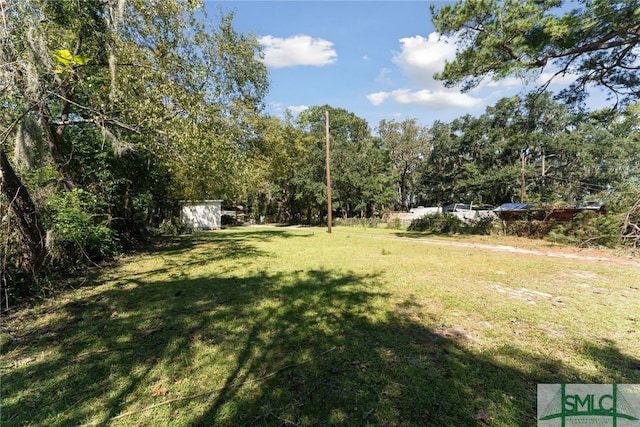 3808 Elmdale Ave, Savannah, GA 31405 - view of green lawn