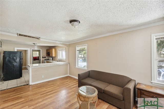 3808 Elmdale Ave, Savannah, GA 31405 - living room featuring crown molding, light wood-style flooring, a textured ceiling, and baseboards