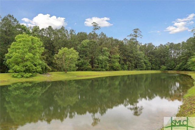 21 Carlisle Ln, Savannah, GA 31419 - water view with a forest