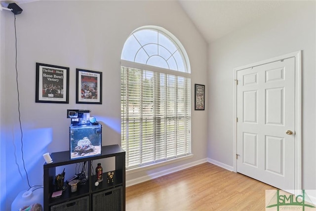 21 Carlisle Ln, Savannah, GA 31419 - entryway with lofted ceiling, wood finished floors, and baseboards
