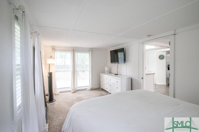 bedroom with light colored carpet