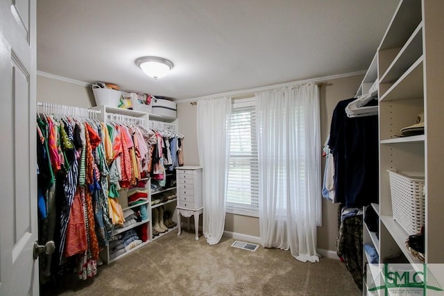 walk in closet with carpet floors