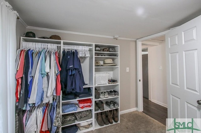 view of closet