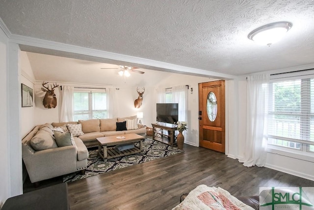 living area featuring a textured ceiling, crown molding, dark wood-style floors, ceiling fan, and baseboards