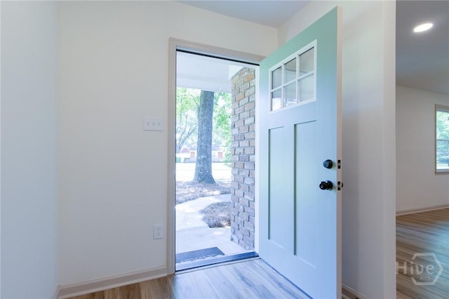 foyer entrance featuring wood finished floors, plenty of natural light, and baseboards