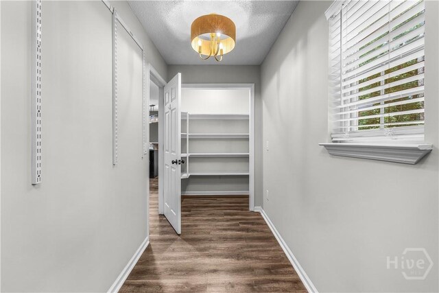 407 Middleton St, Pooler, GA 31322 - walk in closet with wood finished floors