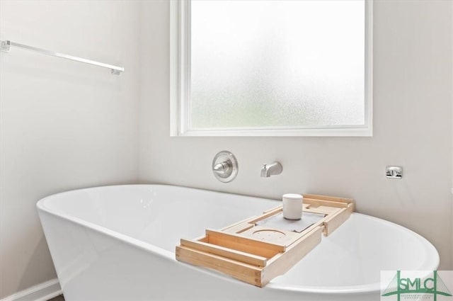 full bathroom featuring a freestanding tub