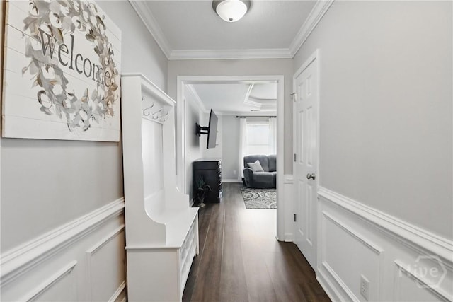 509 Braves Field Dr, Guyton, GA 31312 - corridor with crown molding, wainscoting, dark wood finished floors, and a decorative wall
