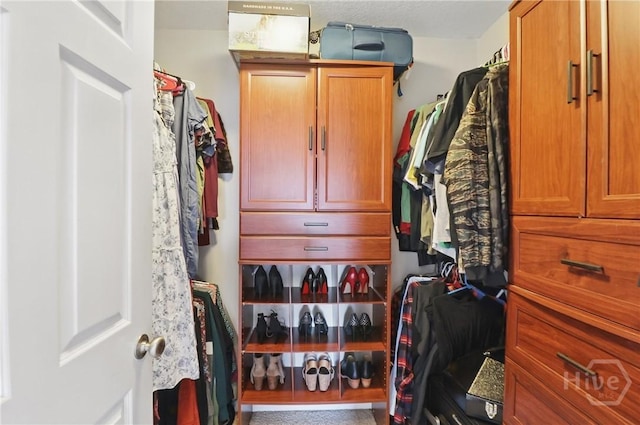 509 Braves Field Dr, Guyton, GA 31312 - view of walk in closet
