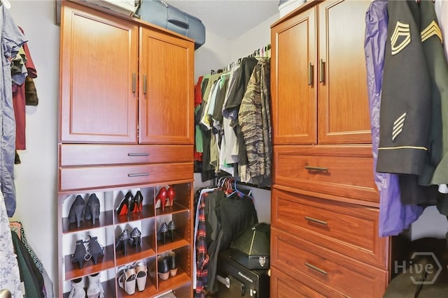 509 Braves Field Dr, Guyton, GA 31312 - view of spacious closet