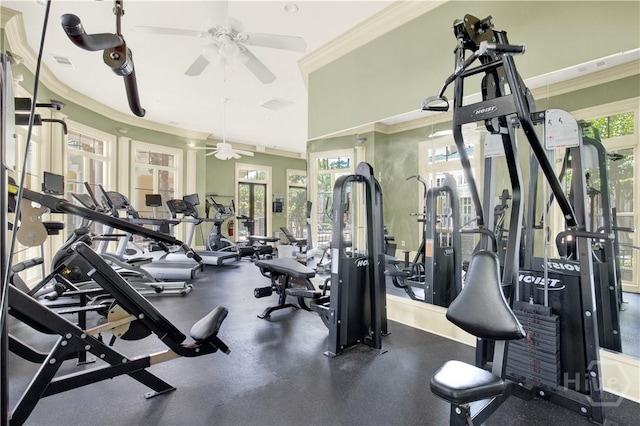3021 Whitemarsh Way, Savannah, GA 31410 - workout area with ceiling fan, healthy amount of natural light, and ornamental molding