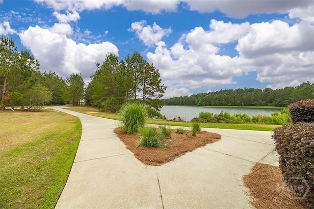 256 Cattle Run Way, Pooler, GA 31322 - photo 46