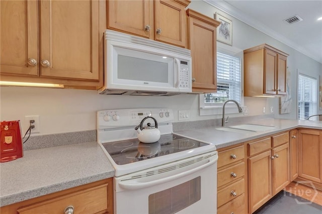 5 17th St, Tybee Island, GA 31328 - kitchen featuring white appliances, a sink, light countertops, and ornamental molding