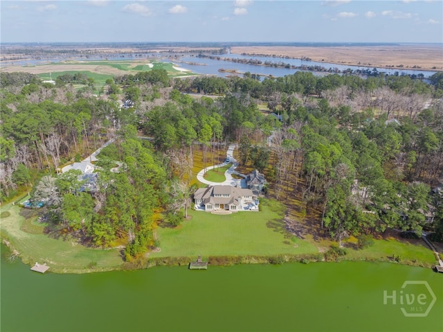 262 Spanish Moss Ln, Richmond Hill, GA 31324 - photo 40
