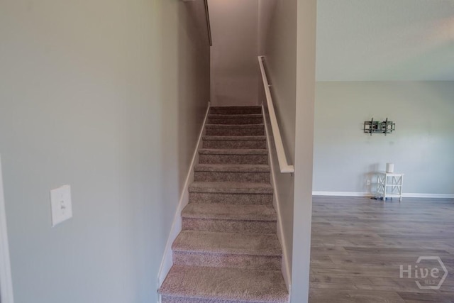 24 Daylily Ct, Hinesville, GA 31313 - staircase featuring wood finished floors and baseboards