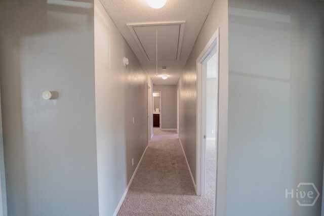 24 Daylily Ct, Hinesville, GA 31313 - hallway with attic access, carpet floors, and baseboards