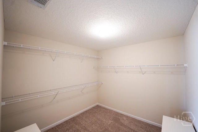 24 Daylily Ct, Hinesville, GA 31313 - walk in closet with carpet flooring